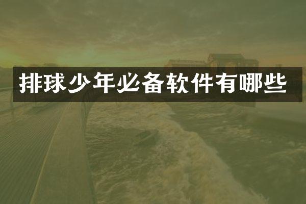 排球少年必备软件有哪些