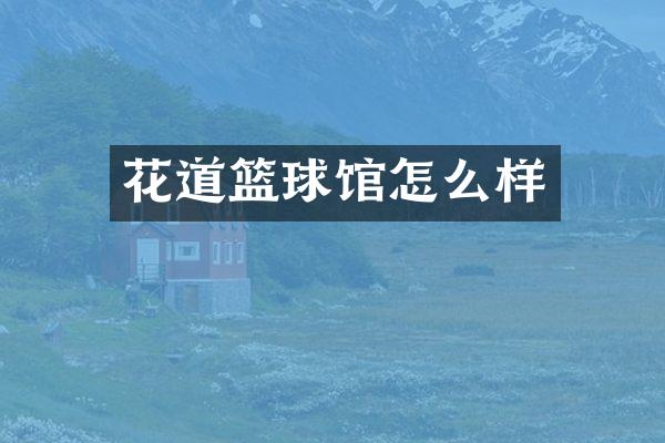 花道篮球馆怎么样