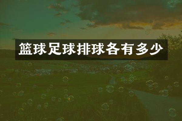 篮球足球排球各有多少