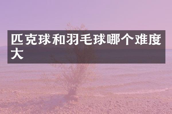 匹克球和羽毛球哪个难度大