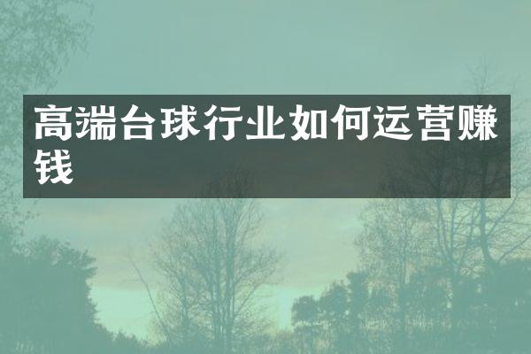 高端台球行业如何运营赚钱