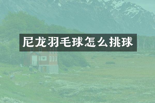 尼龙羽毛球怎么挑球