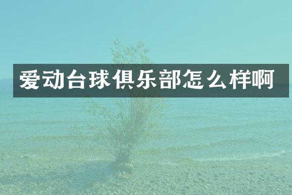 爱动台球俱乐部怎么样啊