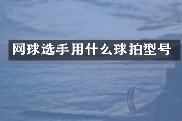 网球选手用什么球拍型号