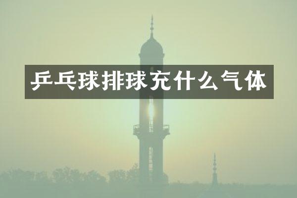 乒乓球排球充什么气体