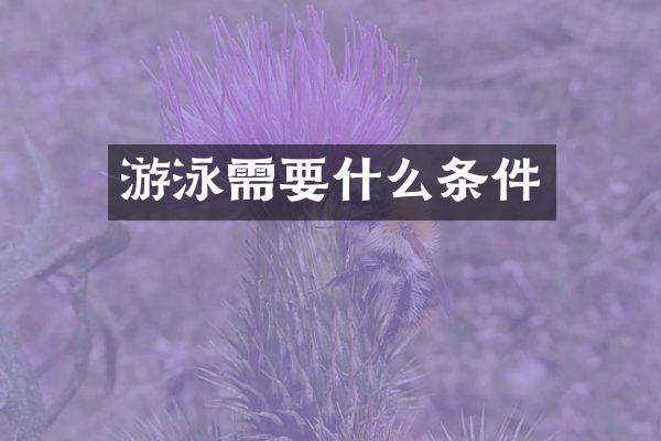 游泳需要什么条件