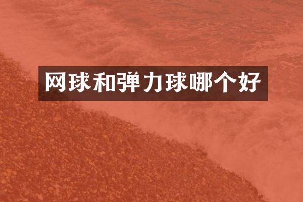网球和弹力球哪个好