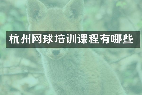 杭州网球培训课程有哪些