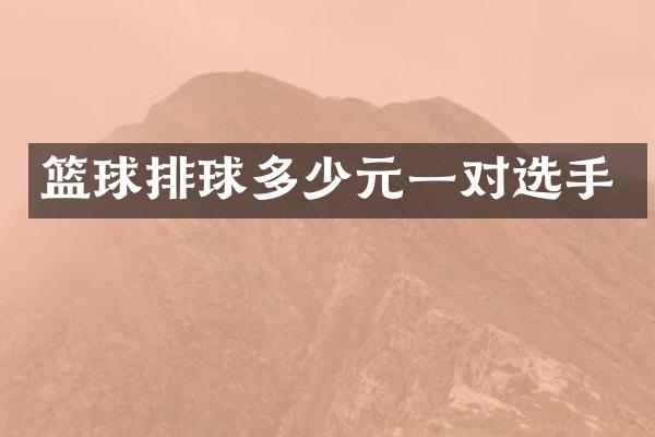篮球排球多少元一对选手