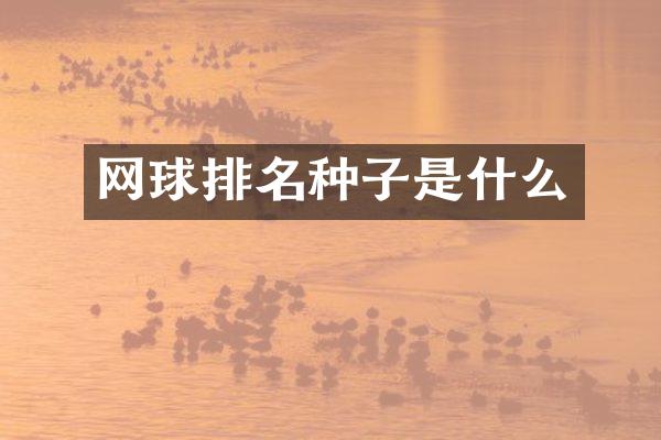网球排名种子是什么
