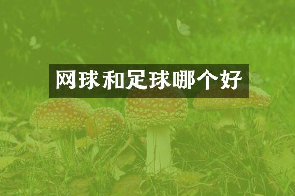 网球和足球哪个好