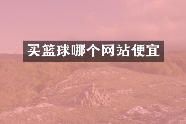 买篮球哪个网站便宜