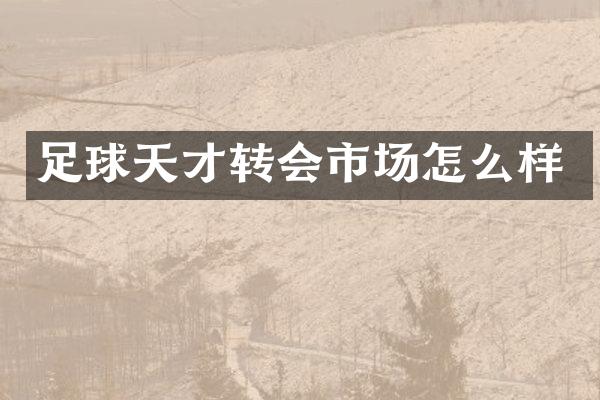 足球天才转会市场怎么样
