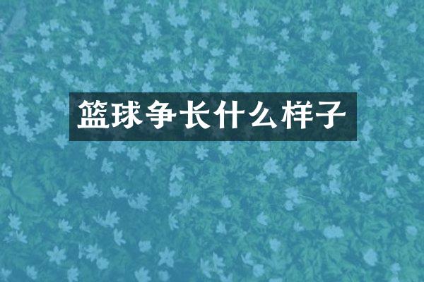 篮球争长什么样子