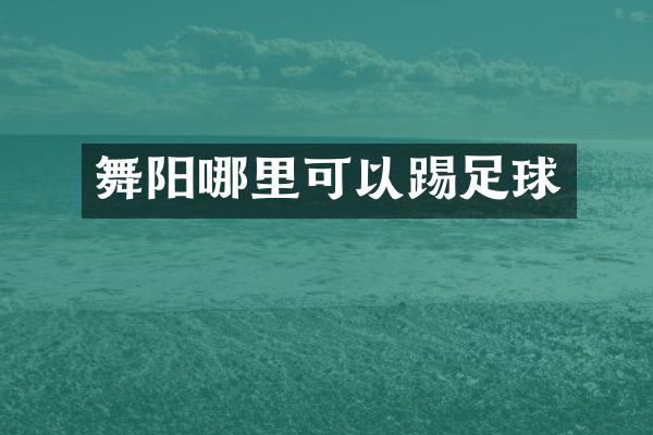 舞阳哪里可以踢足球