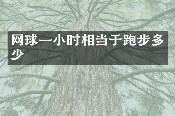 网球一小时相当于跑步多少