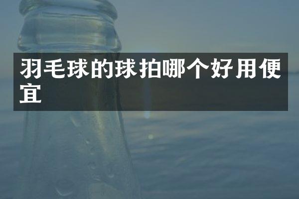 羽毛球的球拍哪个好用便宜