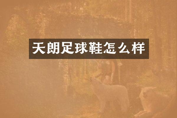 天朗足球鞋怎么样