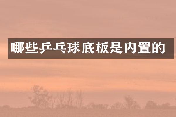 哪些乒乓球底板是内置的