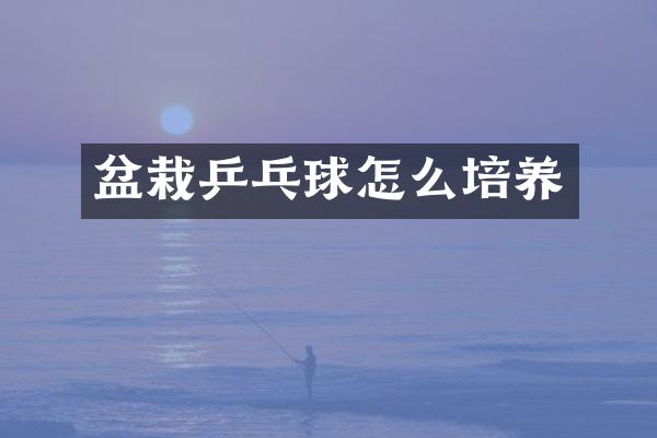 盆栽乒乓球怎么培养