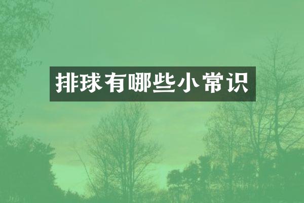 排球有哪些小常识