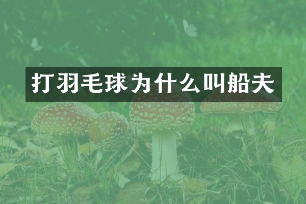 打羽毛球为什么叫船夫