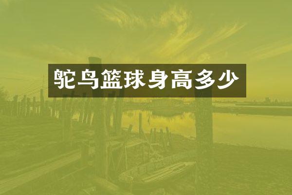 鸵鸟篮球身高多少