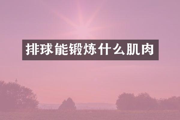 排球能锻炼什么肌肉