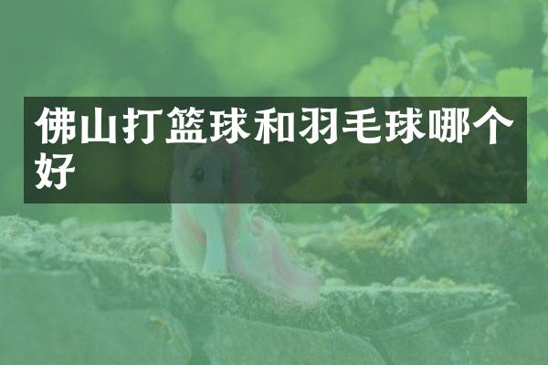 佛山打篮球和羽毛球哪个好