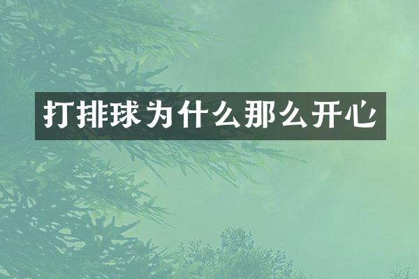 打排球为什么那么开心