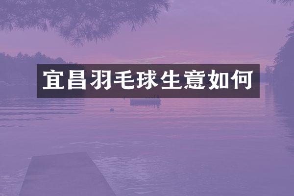 宜昌羽毛球生意如何