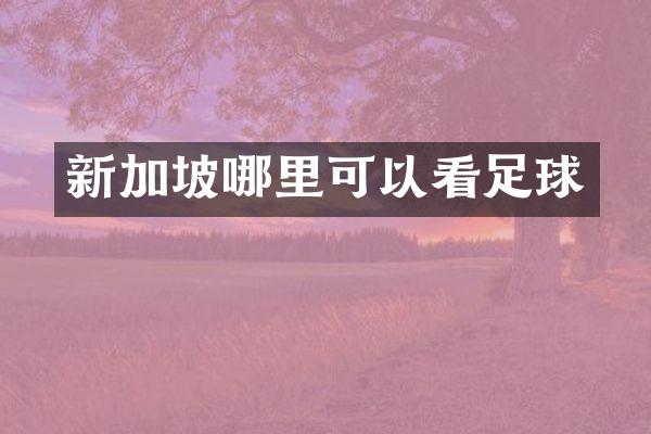 新加坡哪里可以看足球