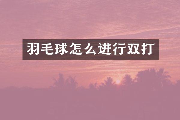 羽毛球怎么进行双打