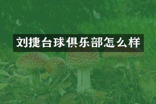刘捷台球俱乐部怎么样