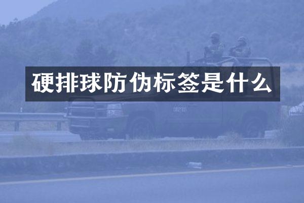 硬排球防伪标签是什么