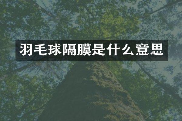 羽毛球隔膜是什么意思