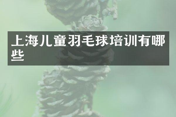 上海儿童羽毛球培训有哪些