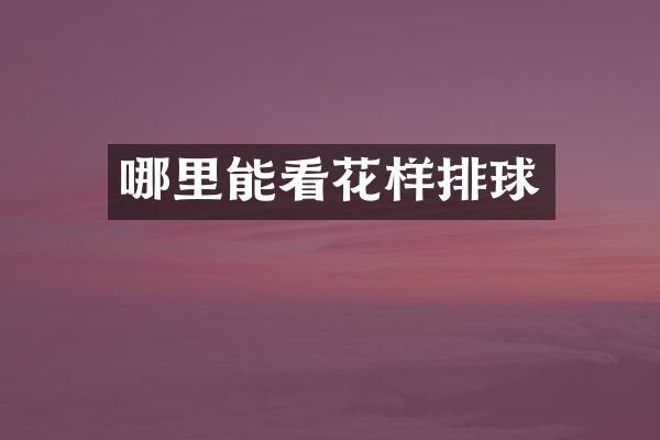 哪里能看花样排球