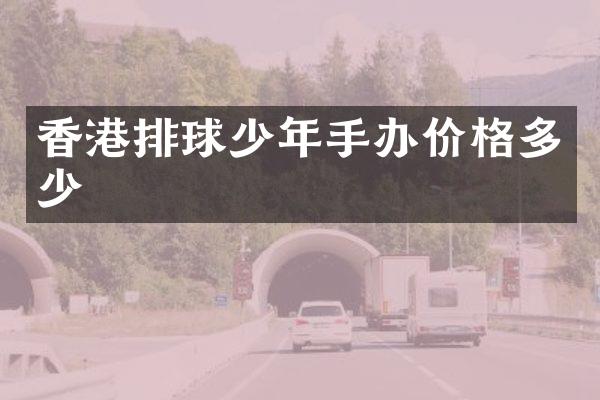 香港排球少年手办价格多少