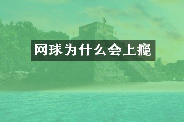 网球为什么会上瘾