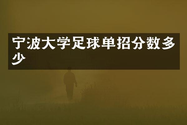 宁波大学足球单招分数多少