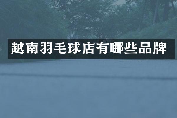 越南羽毛球店有哪些品牌