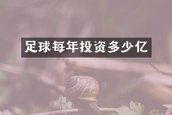 足球每年投资多少亿