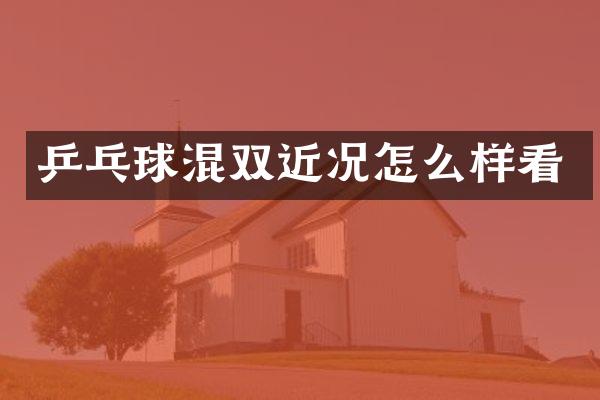 乒乓球混双近况怎么样看