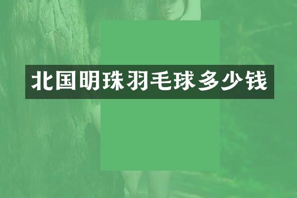 北国明珠羽毛球多少钱