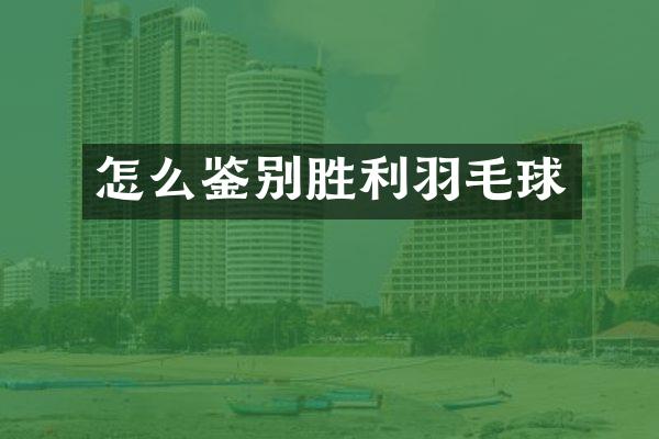 怎么鉴别胜利羽毛球