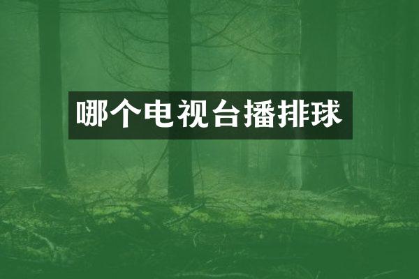 哪个电视台播排球