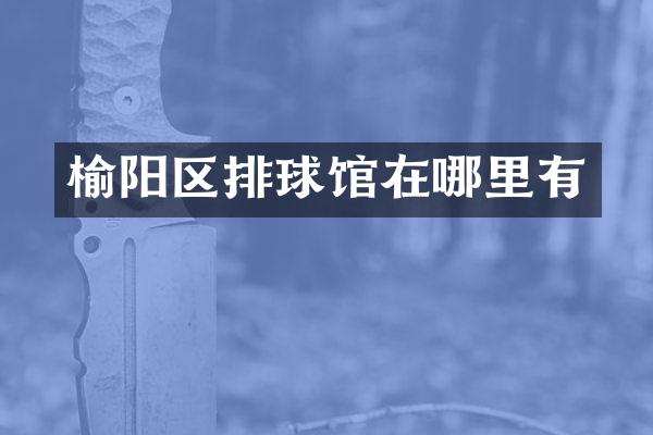 榆阳区排球馆在哪里有