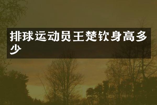 排球运动员王楚钦身高多少