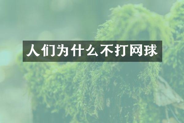 人们为什么不打网球